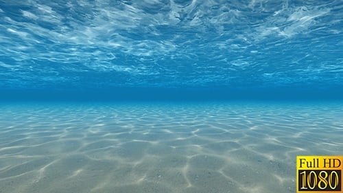 Seamless Looping Underwater Ocean Floor Background with Shimmering Light