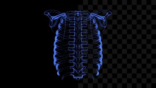 3d Holographie von menschlichen Rippen
