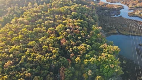 Autumn Top View of Beautiful Forest with Deciduous and Coniferous Trees