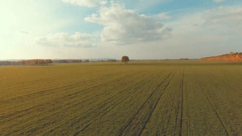 Remove Field With Furrows Of Agricultural Machinery