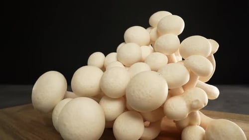 Pile of Fresh White Mushrooms on Wooden Board