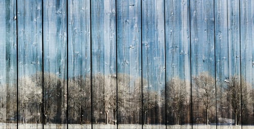 Static Wooden Fence and Winter Forest Background