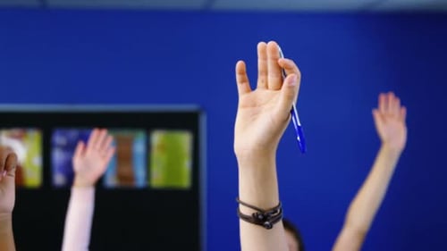 Student raising hand in classroom
