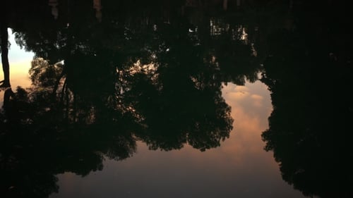 Calm Waters Of Park Pond