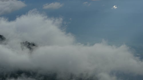 Nebel bewegt sich
