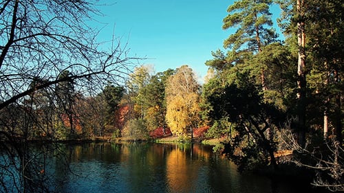 Autumnal Lake Scene with Colorful Trees Reflection
