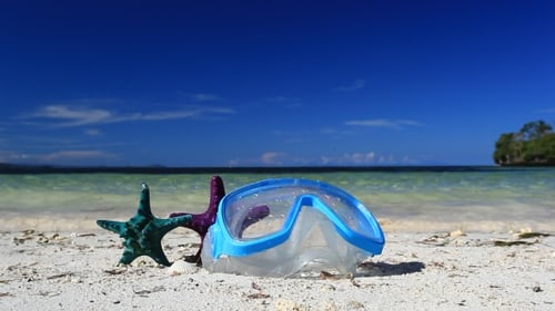 Schwimmmaske und Seesterne