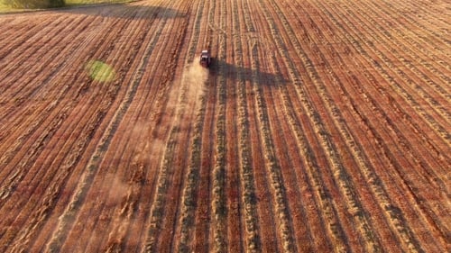 Moissonneuse sur le terrain Récoltes - Vue aérienne