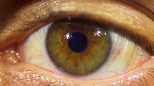 Macro Close Up Of Human Eye Blinking