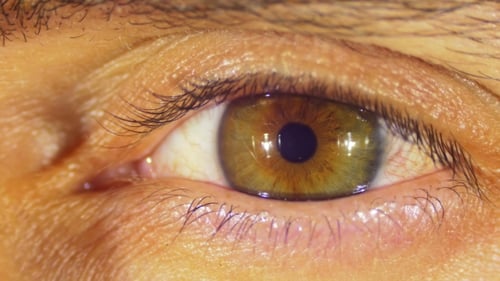 Extreme Close Up of a Hazel Human Eye