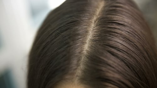 Close Up of Woman's Parted Brown Hair