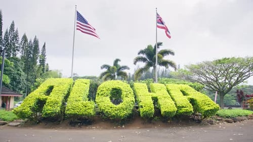 ALOHA Summer Vacation Dream Trip Adventure Travel and Tourism Background