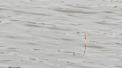 Fishing Float bobbing on Water Surface