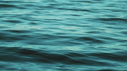 Beautiful Bewitching Excitement Of The Water. The Movement Of Water.