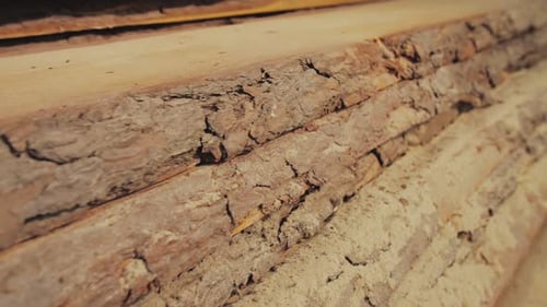 Wood Factory Stock and Lumber Board with Nature Business Export the Camera Moves Forward Slow Motion