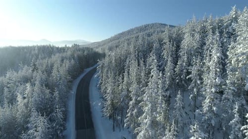 Flight Over the Road Through the Snowy Forest at Sunrise
