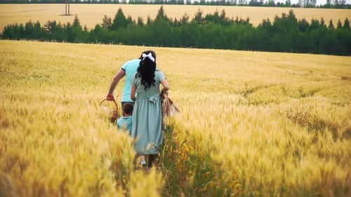 Caucasian Family with Children Goes in a Wheat Field Searching Place for Picnic in Slowmo