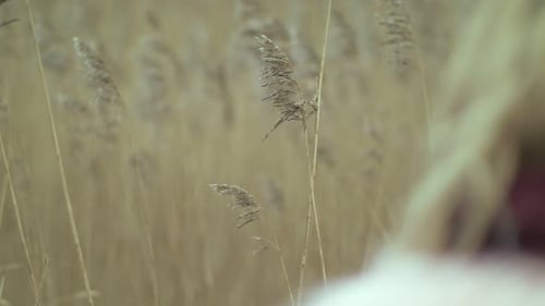 Blonde Woman Smiling Outdoors in a Rural Setting