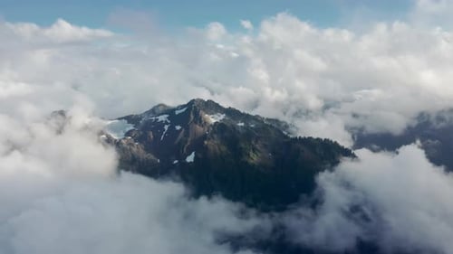 Aerial View Green Pine Forest on Mountain Summit Covered By Thick Fog Clouds