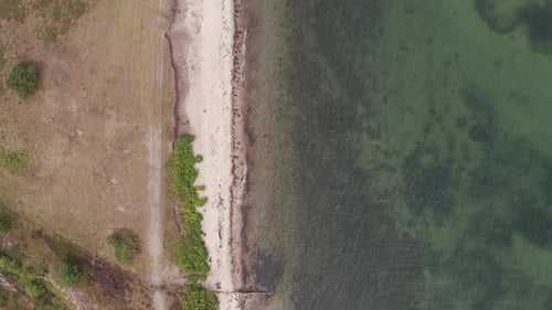Luftaufnahme eines dänischen Strandes am Meer