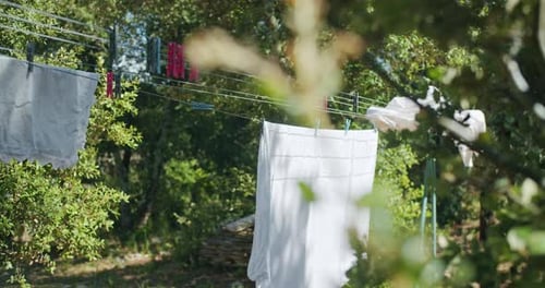 Laundry drying on clothesline in rural, wooded area