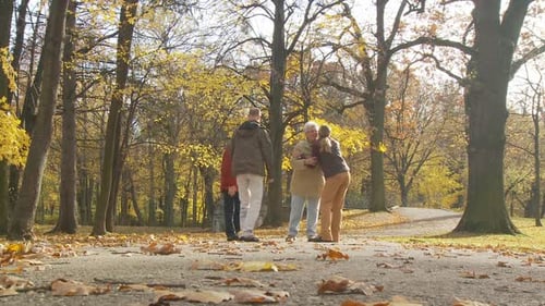 People Meeting in Park Part Ii