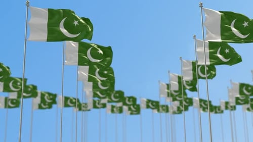 Realistic Waving Pakistan Flags in a Field Under Blue Sky