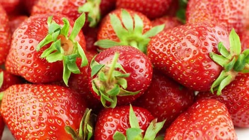 Close Up of Fresh, Red Strawberries