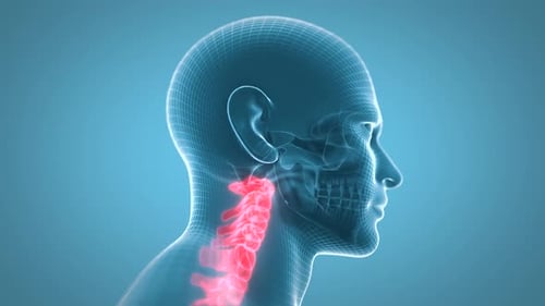 3D Human Head and Neck Wireframe with Cervical Spine Highlight