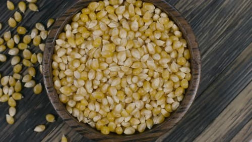 Corn Seeds Display
