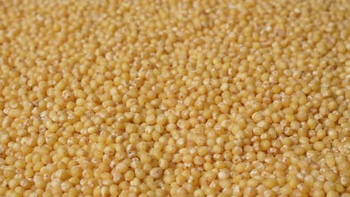 Close Up Footage of Yellow Millet Grain