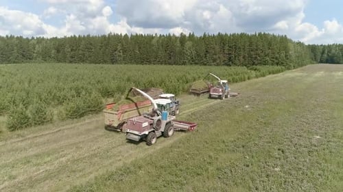 Luftaufnahme von zwei Mähdreschern bei der Ernte, Lastwagen und Traktor auf einer Wiese. 30