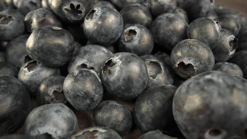 Blueberries 17