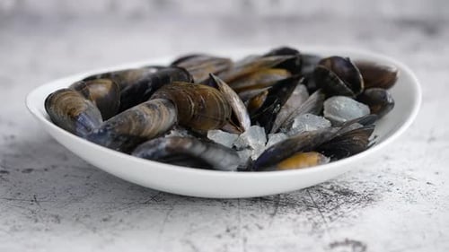 Fresh Mussels in White Bowl with Crushed Ice