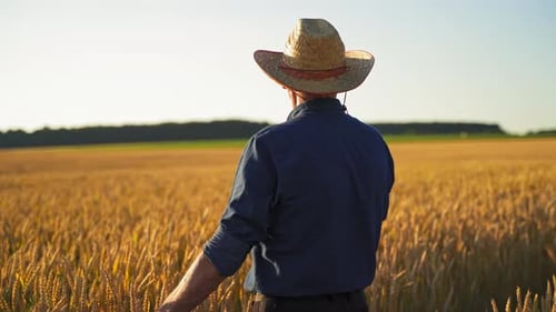Elderly farmer in straw hat outdoors