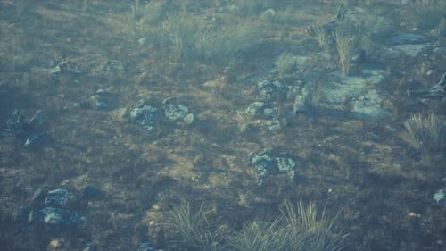 Misty Rocky Terrain Landscape Dolly Shot Animation