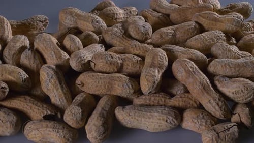 Pile of Peanuts in Shells Close Up