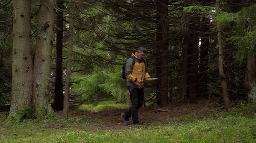 Traveller with a Map in a Beautiful Forest