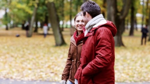 Glückliches junges Paar spaziert im Herbstpark 25