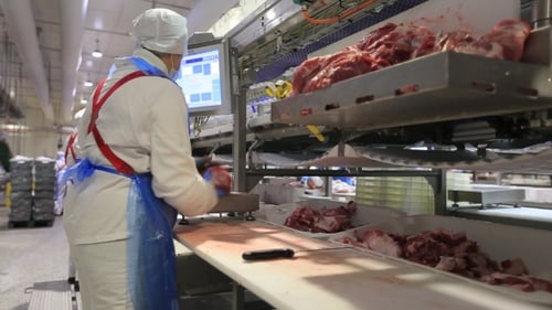 Meat Processing in a Large Industrial Factory