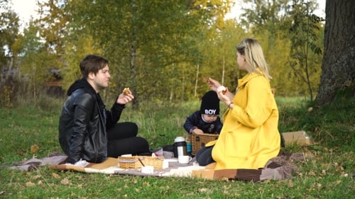 Family Picnicking In The Park.