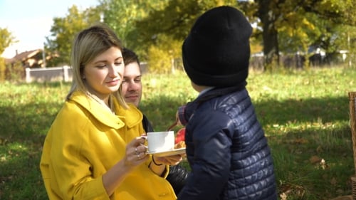 Family Picnicking In The Park.