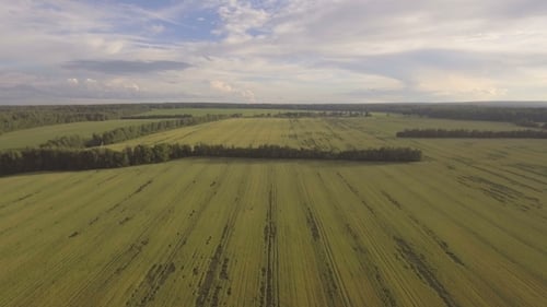 Aerial View: Flying Over Green Field