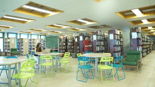 Two Students Learn In The Library