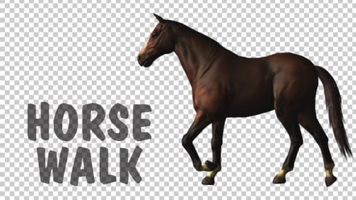 Horse Walk Loop