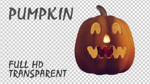 Pumpkin