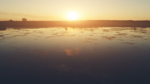 Aerial View: Beautiful Landscape. 30Fps