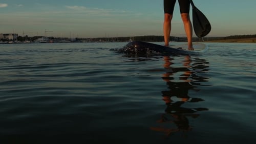 Beautiful Woman On Stand Up Paddle Board