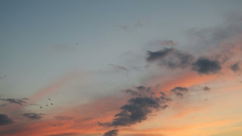 Clip Of Fluffy Clouds Over Sunset Sky. Beautiful Cloudscape.