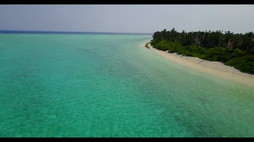 Aerial top view travel of tropical bay beach wildlife by blue sea with white sand background of a da